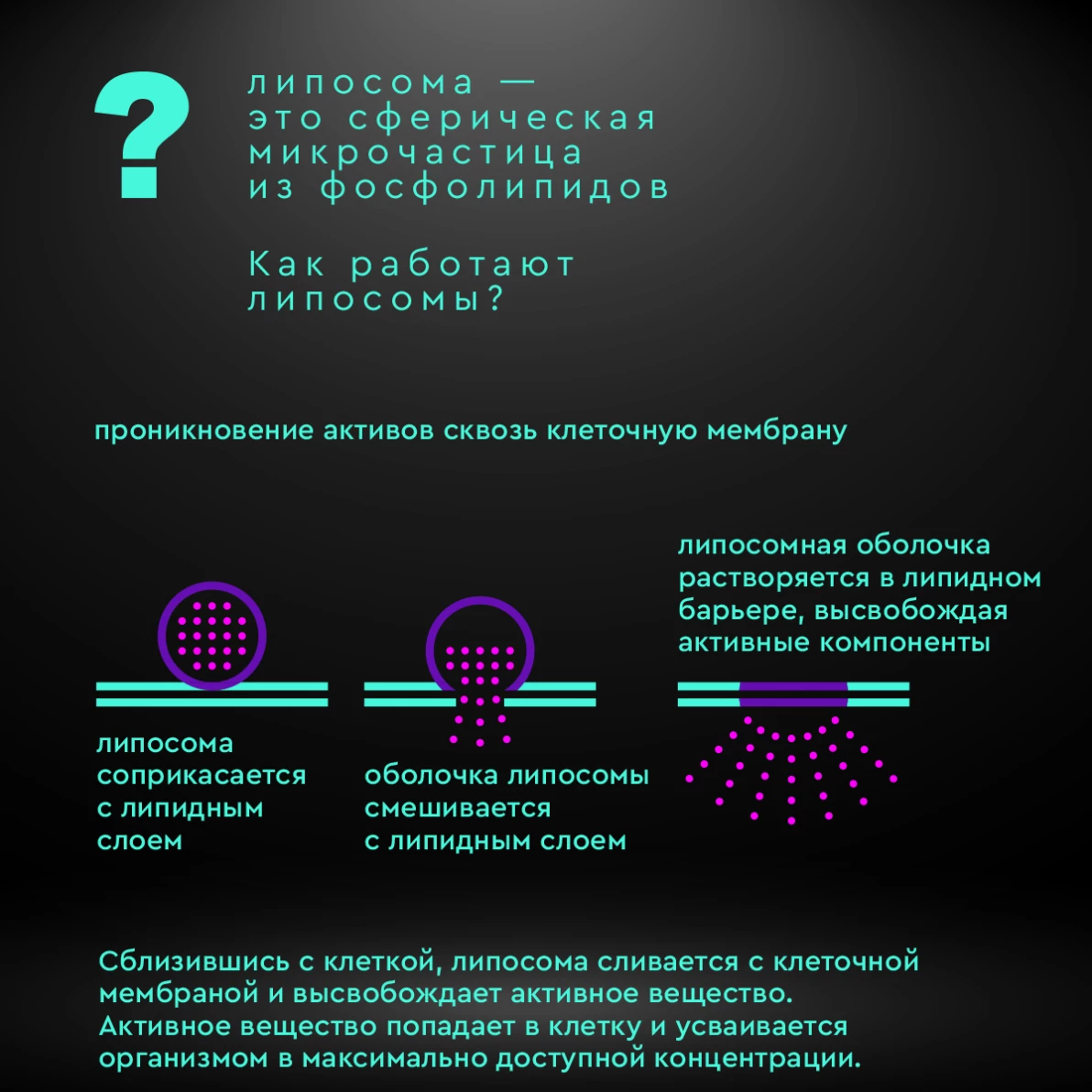 Липосомальный Глутатион 100 ml Liposomal Glutathione